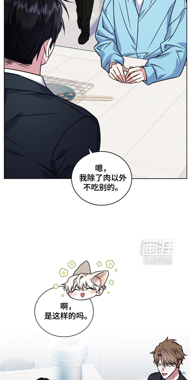 第48章：被诅咒的