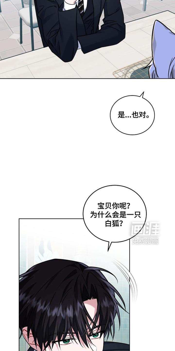 第48章：被诅咒的