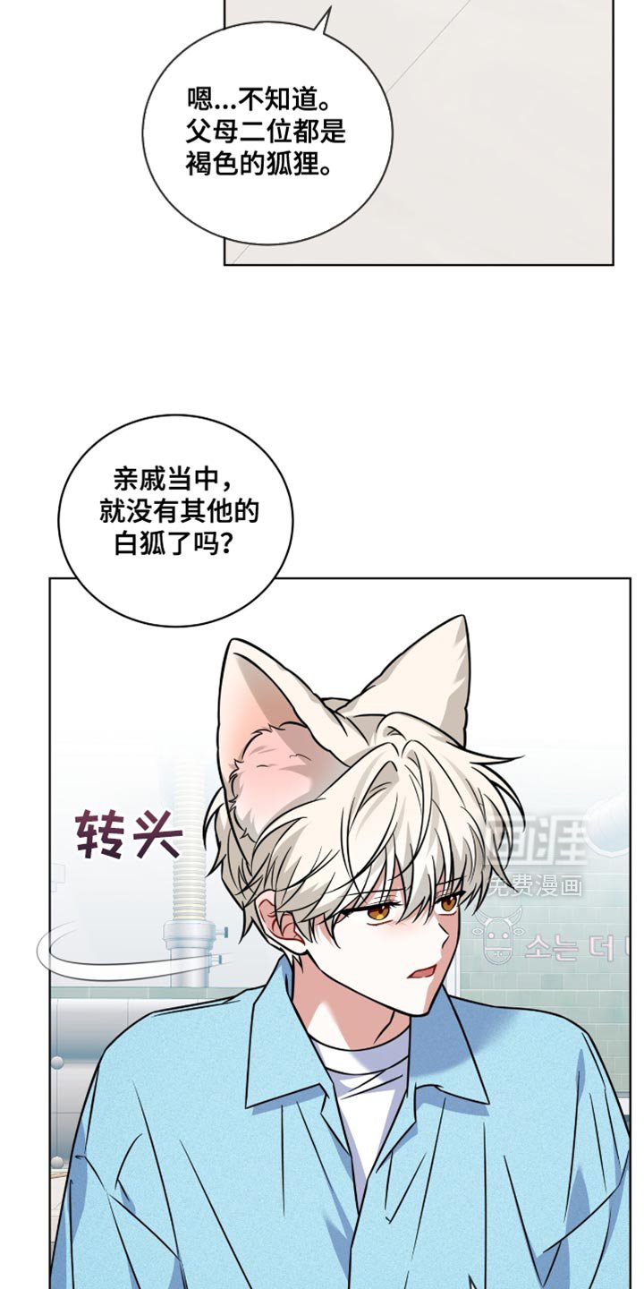 第48章：被诅咒的