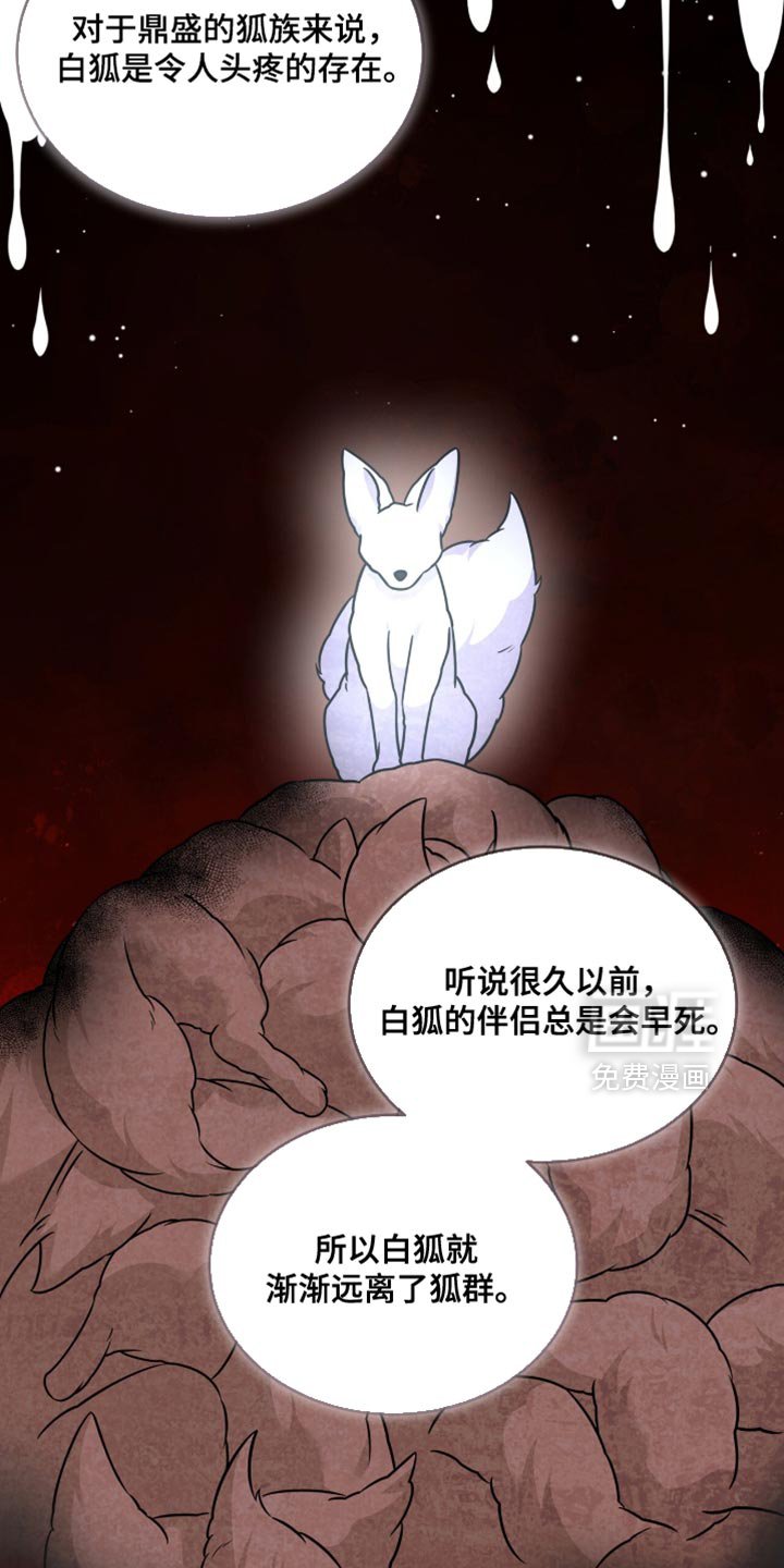 第48章：被诅咒的