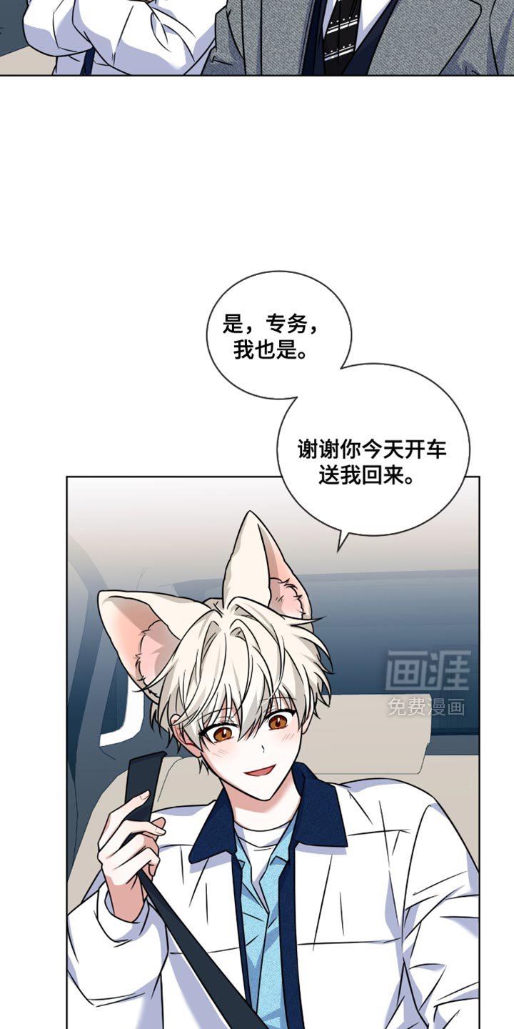 第49章：你真的就这么走了？