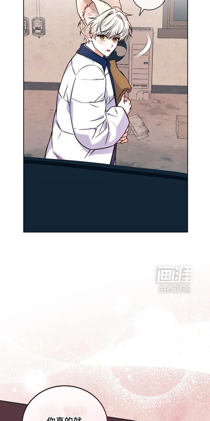 第49章：你真的就这么走了？