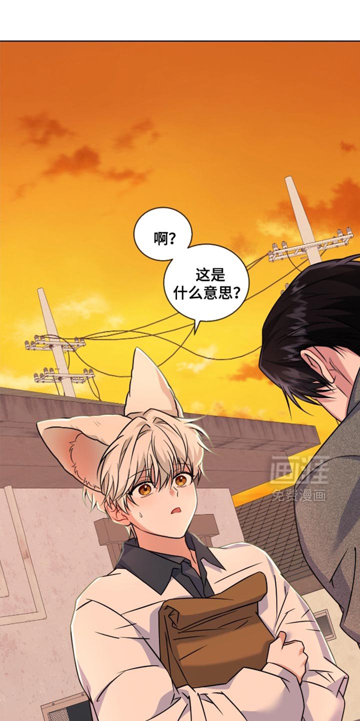 第50章：难为情