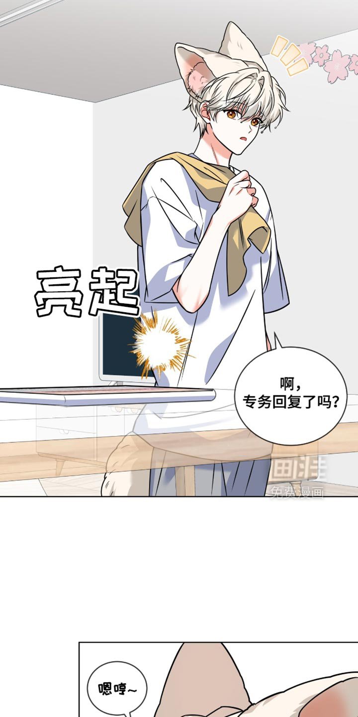 第51章：发短信