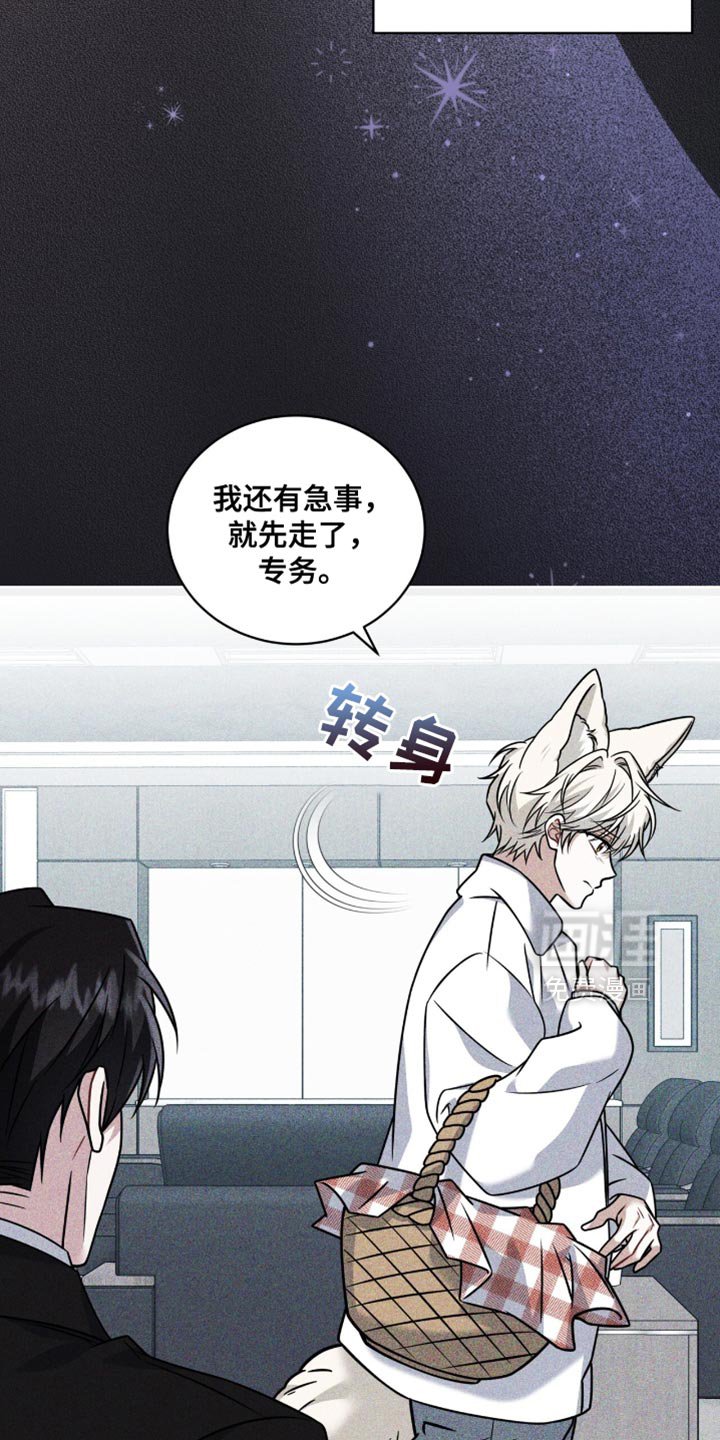 第52章：时机正好