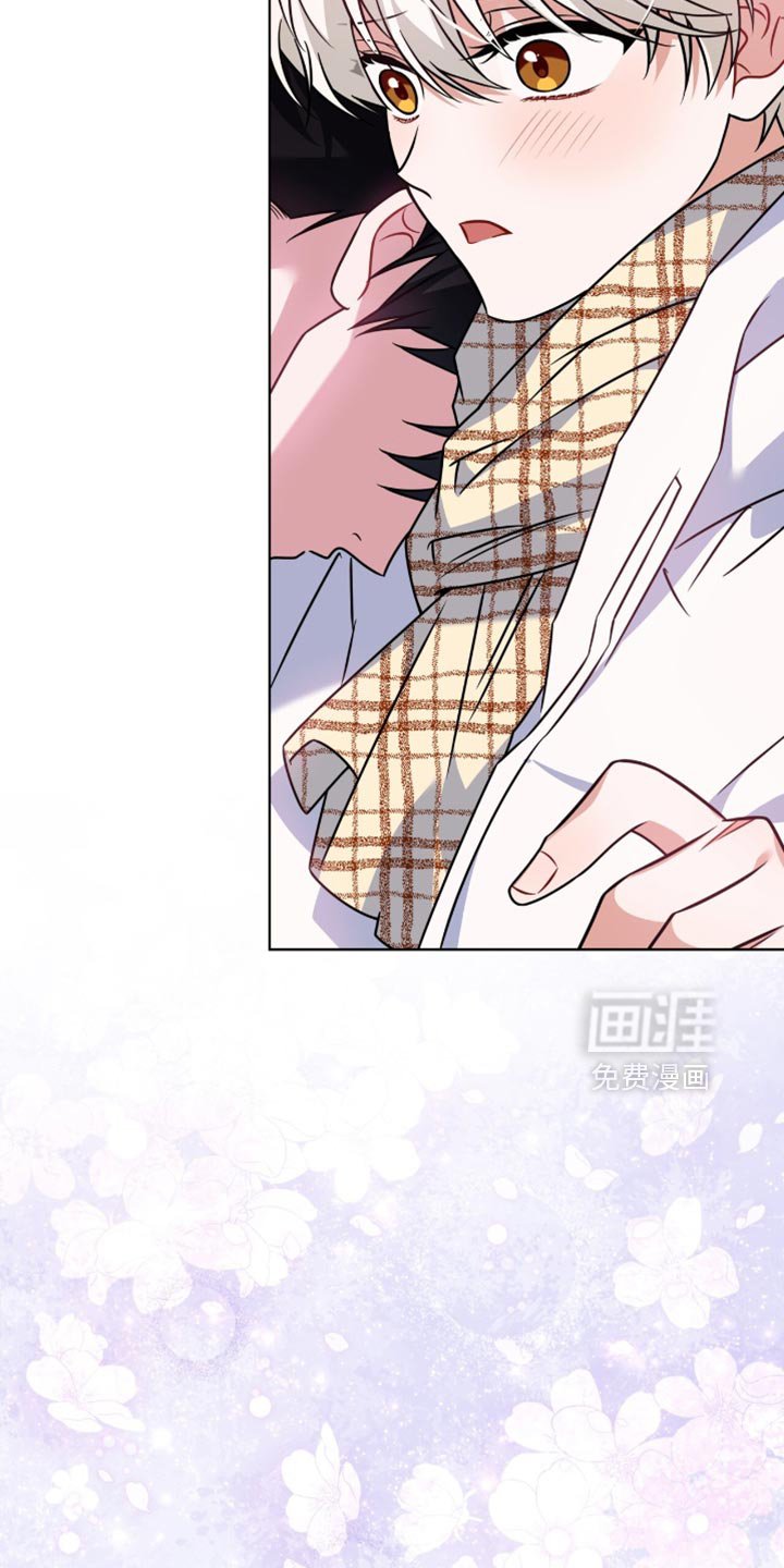 第52章：时机正好