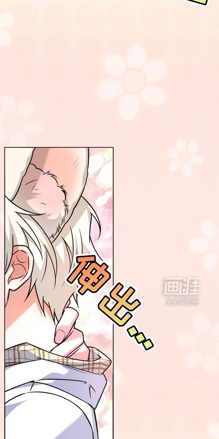 第53章：心理底线