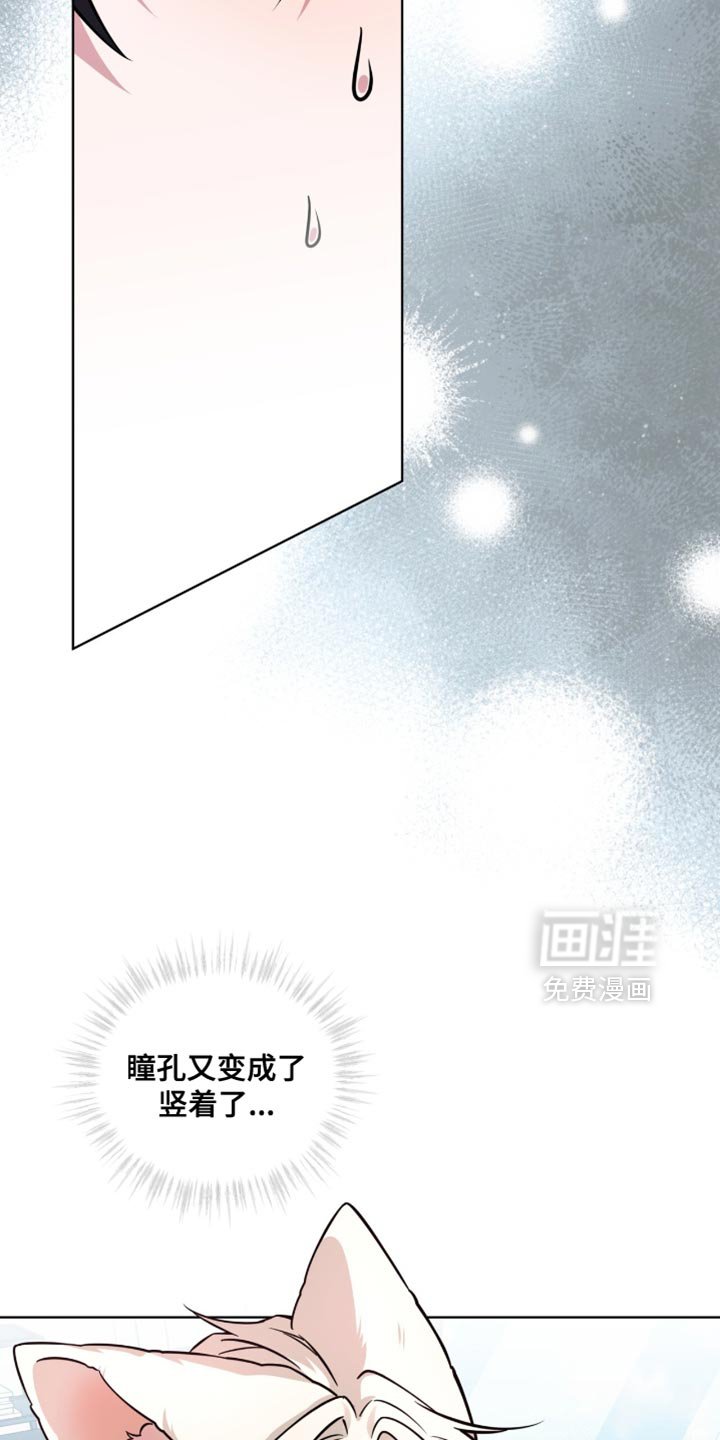 第53章：心理底线