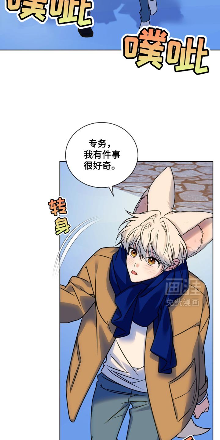 第57章：好奇的事