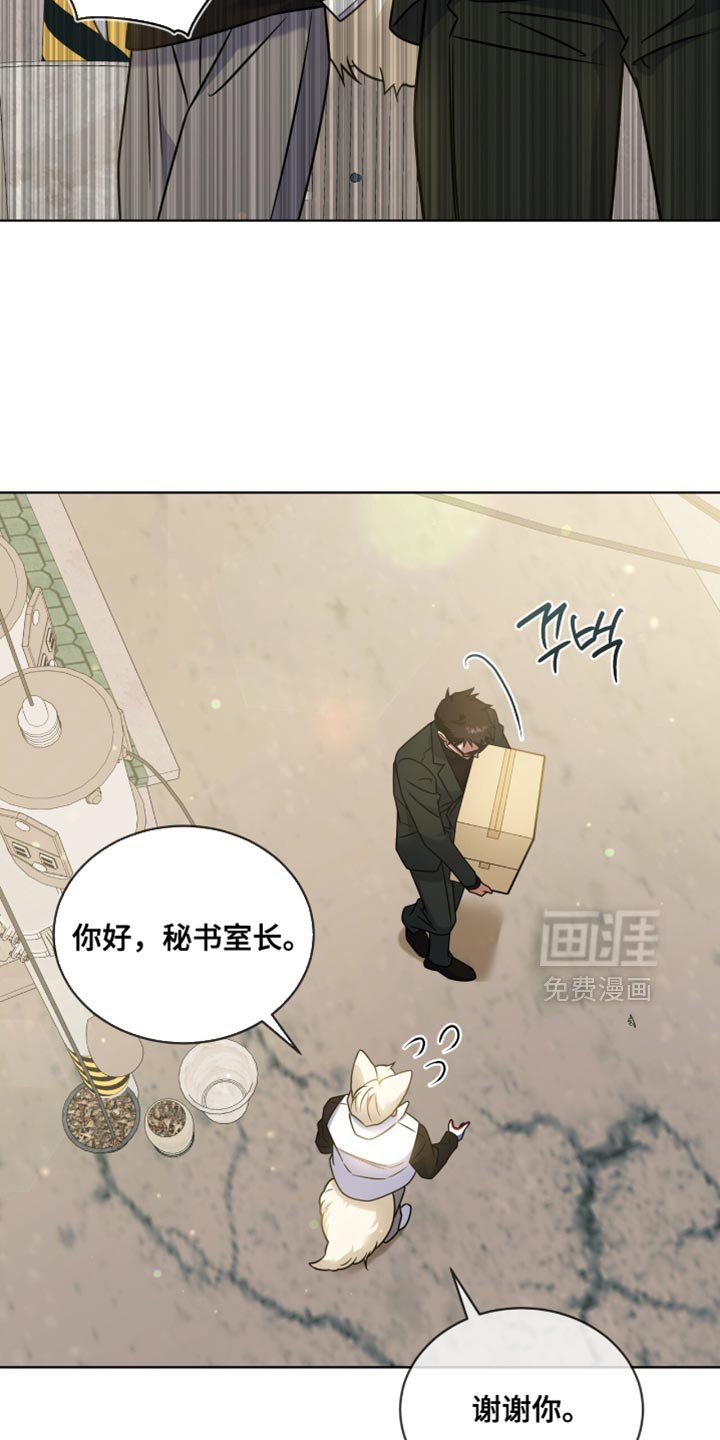第60章：【第二季】想和你聊聊