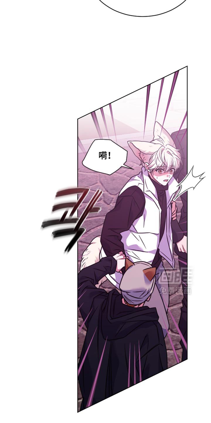 第62章：【第二季】变身为龙