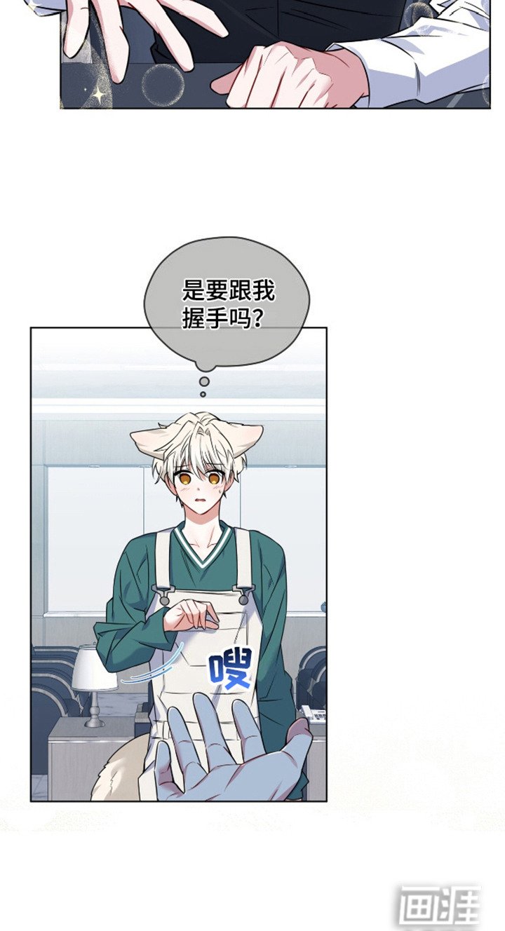 第7章：亲自品尝