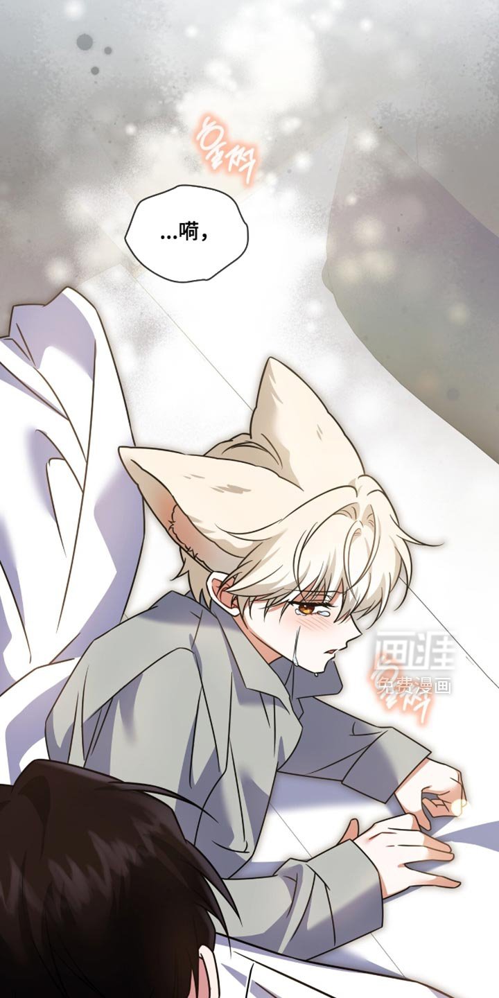 第70章：【第二季】很喜欢专务
