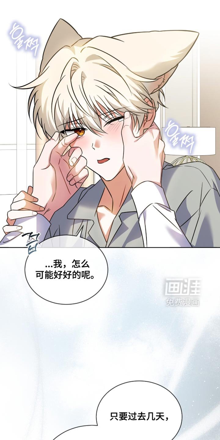 第70章：【第二季】很喜欢专务