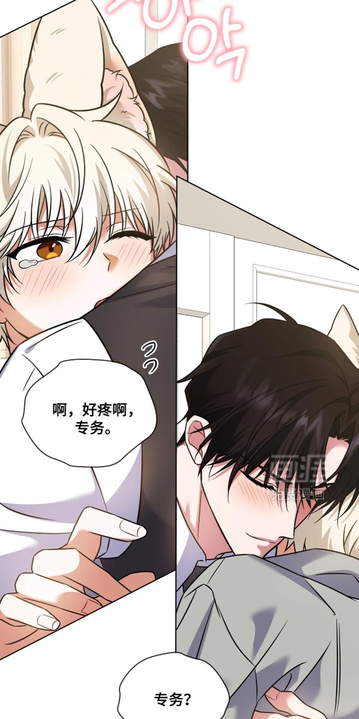第71章：【第二季】你喜欢我