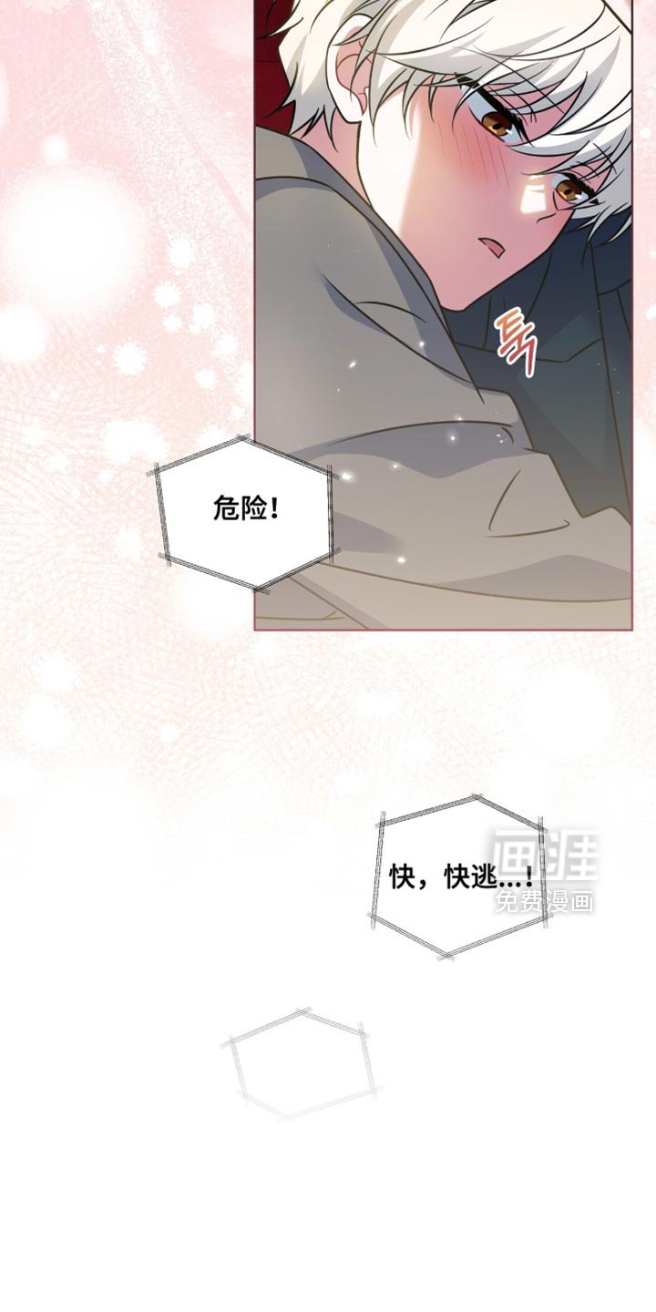 第77章：【第二季】像是个傻瓜