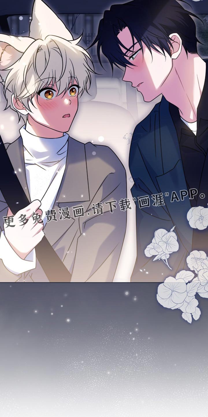 第77章：【第二季】像是个傻瓜