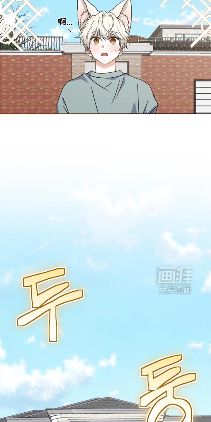 第79章：【第二季】无法逃跑的办法