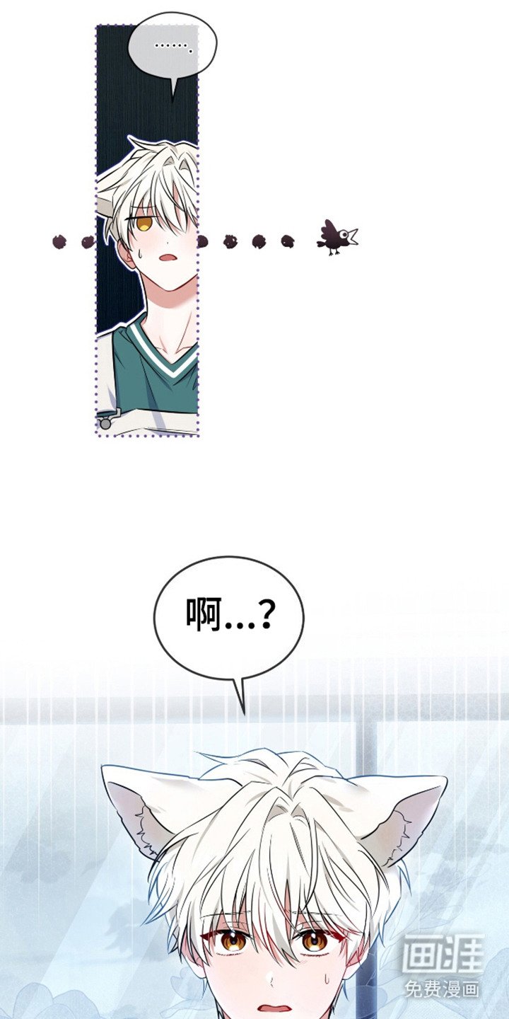 第8章：误会了