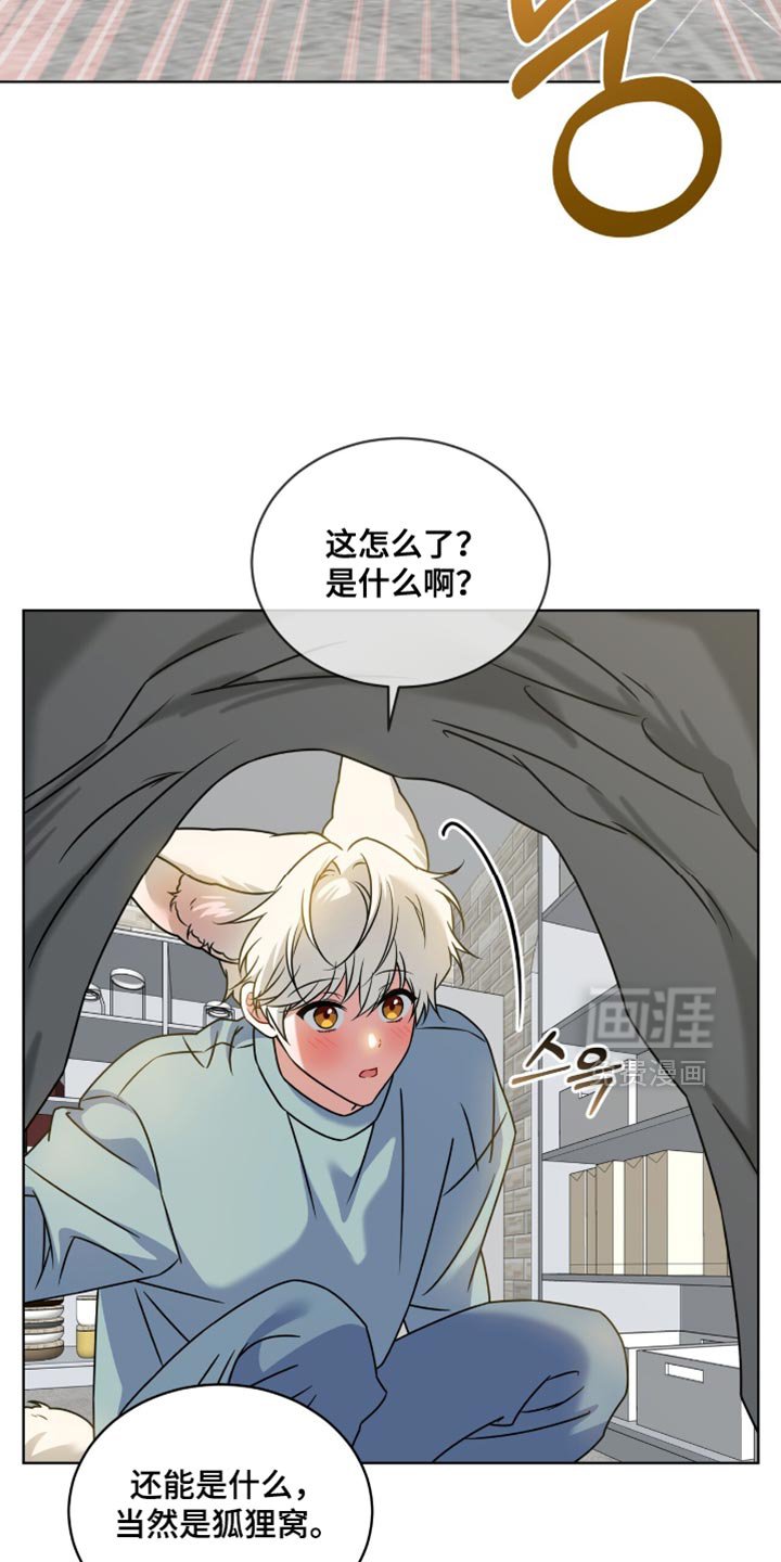 第80章：【第二季】同居