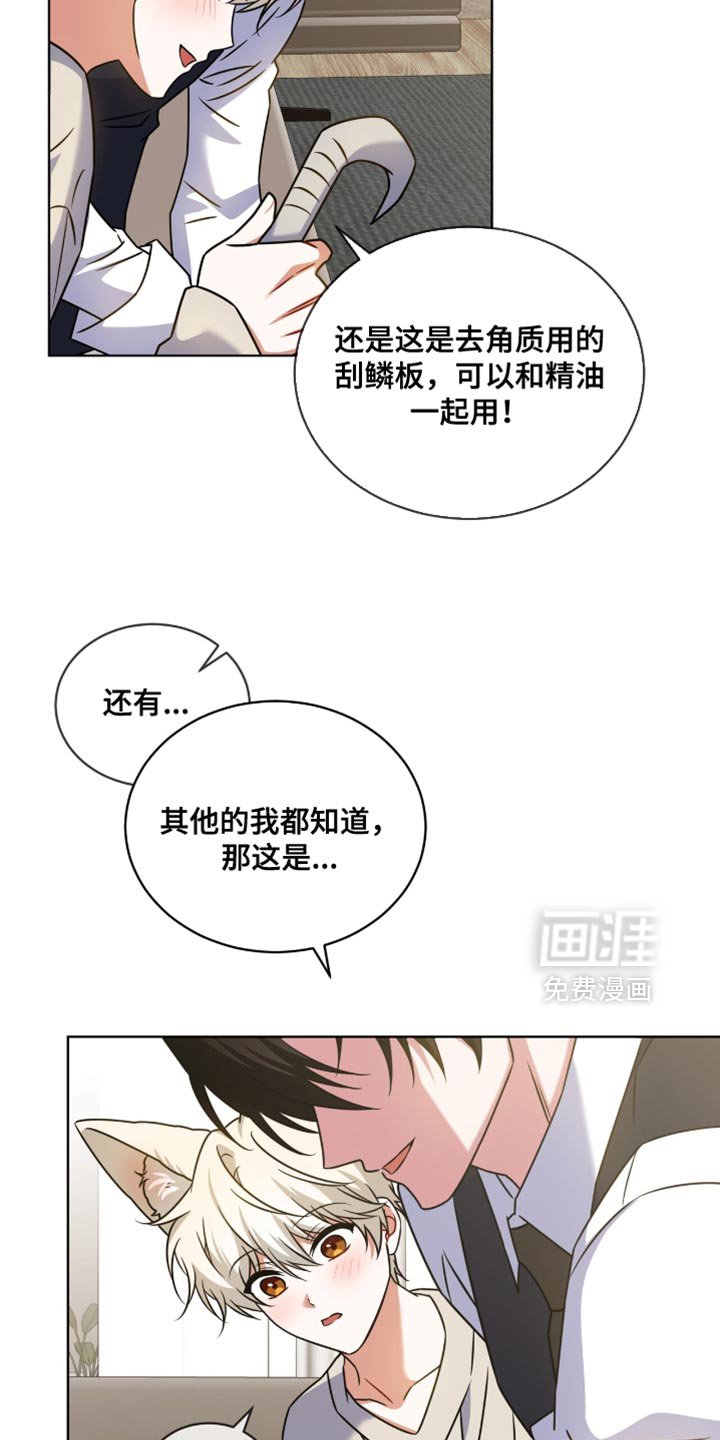 第81章：【第二季】想念回家之后的味道