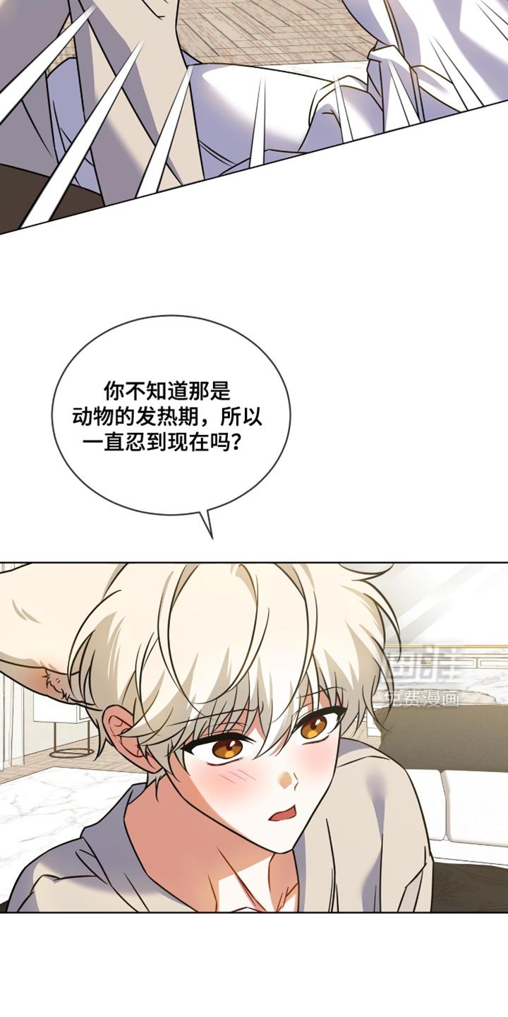 第82章：【第二季】为什么不告诉我