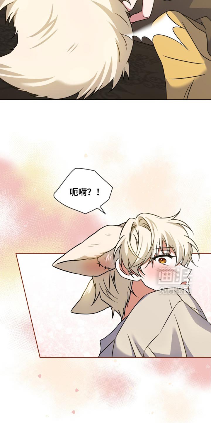 第82章：【第二季】为什么不告诉我
