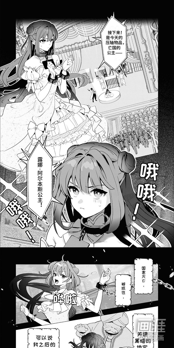 第1章：亡国公主：拍卖品
