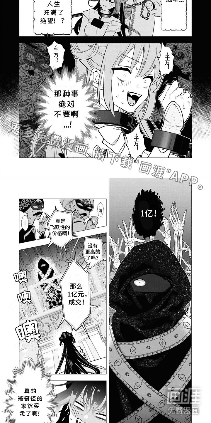 第1章：亡国公主：拍卖品
