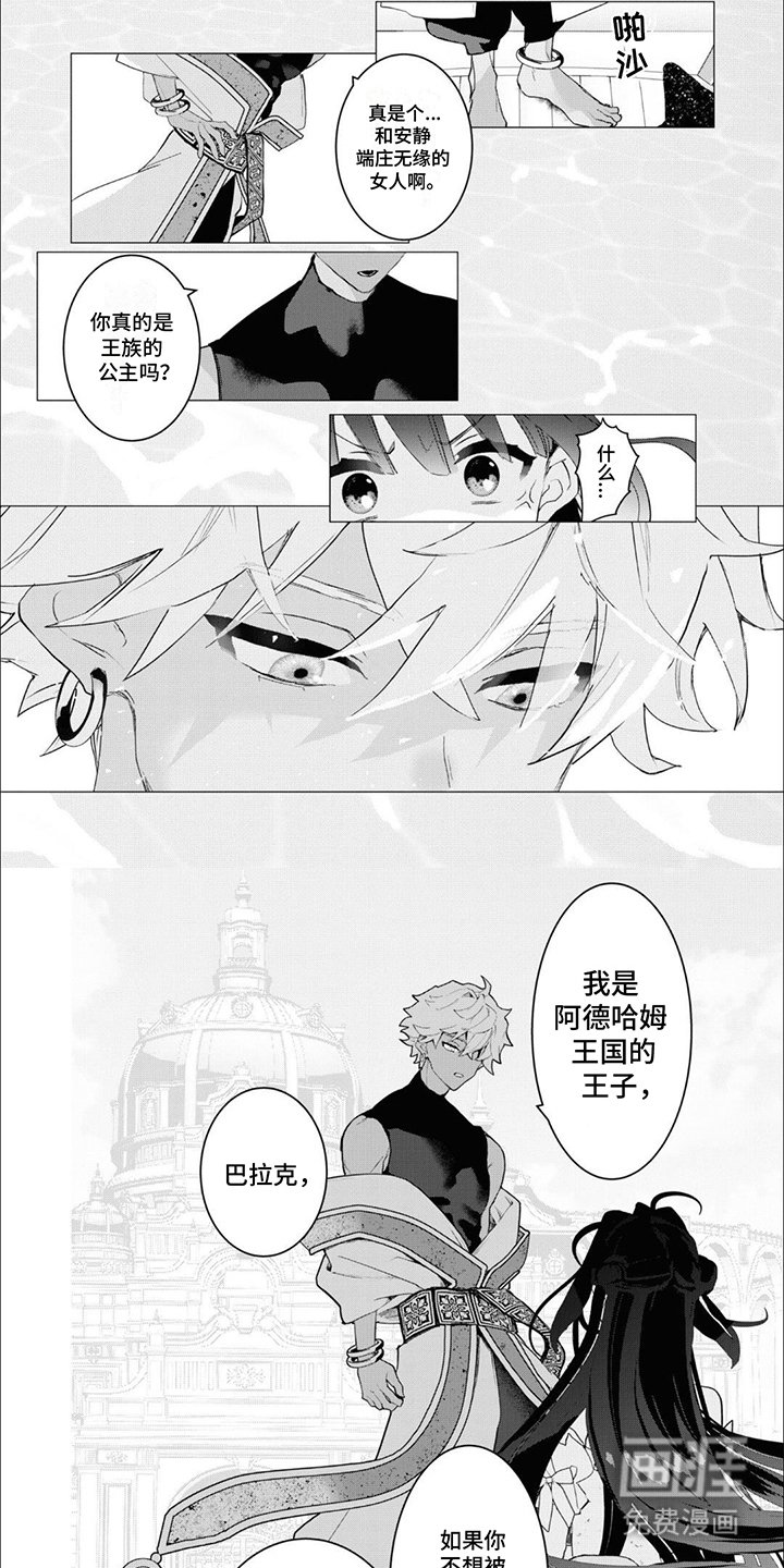 第1章：亡国公主：拍卖品