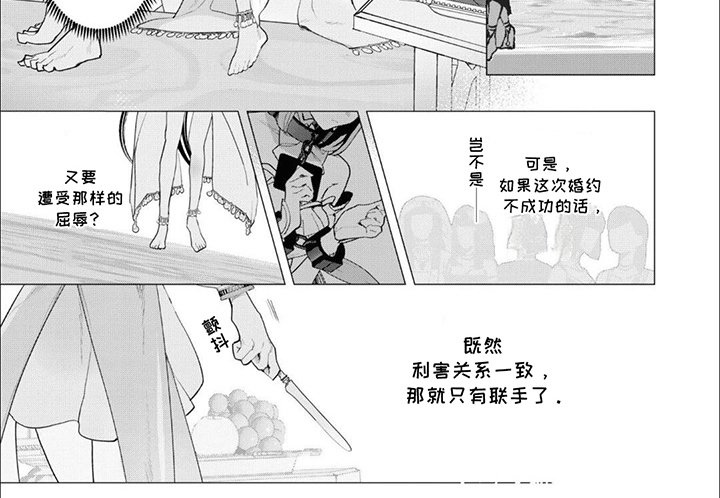 第1章：亡国公主：拍卖品