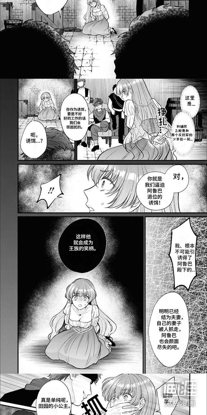 第14章：公主的义务：虚惊一场（完）