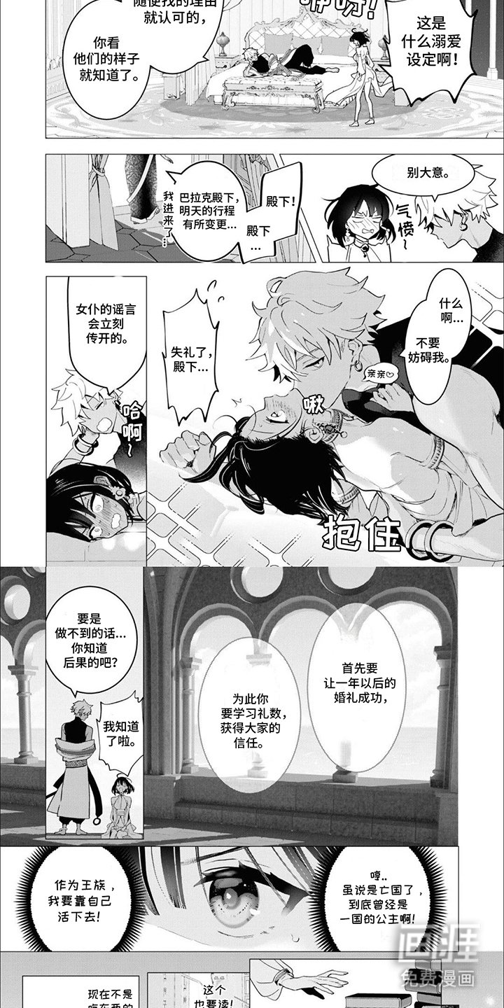 第2章：亡国公主：入乡随俗
