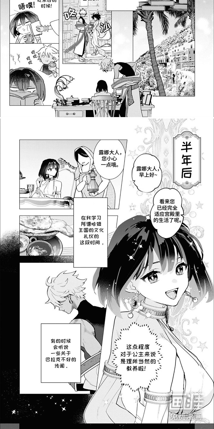 第2章：亡国公主：入乡随俗