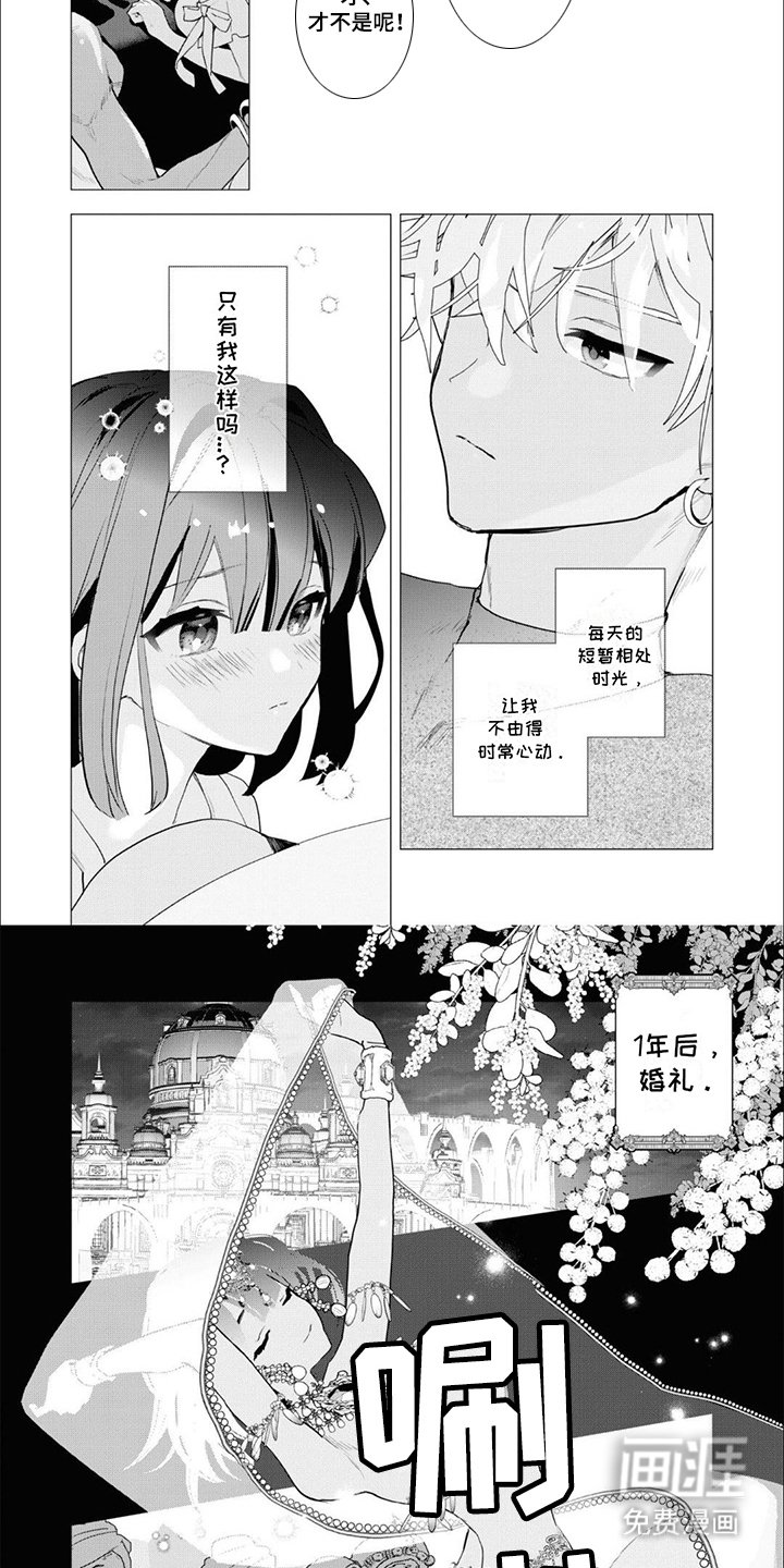 第3章：亡国公主：婚礼（完）