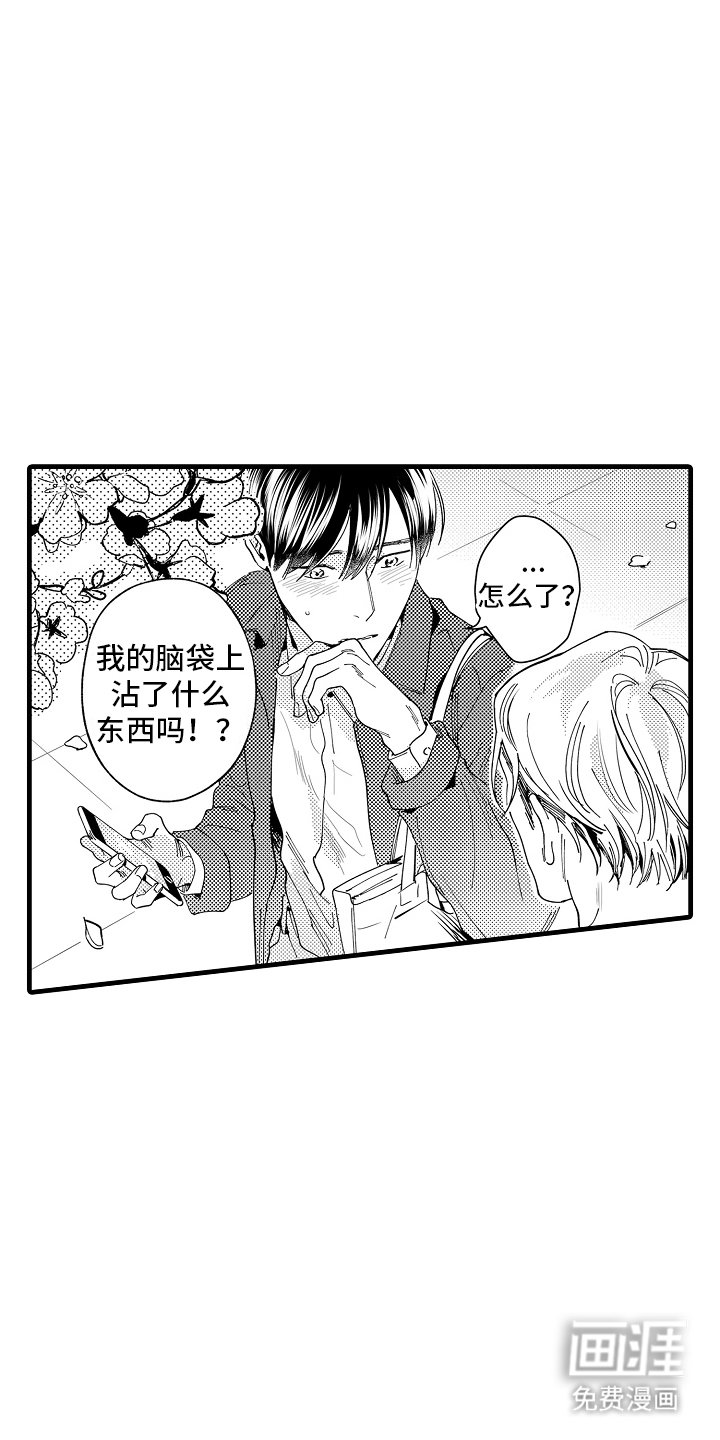 第1章：隐藏