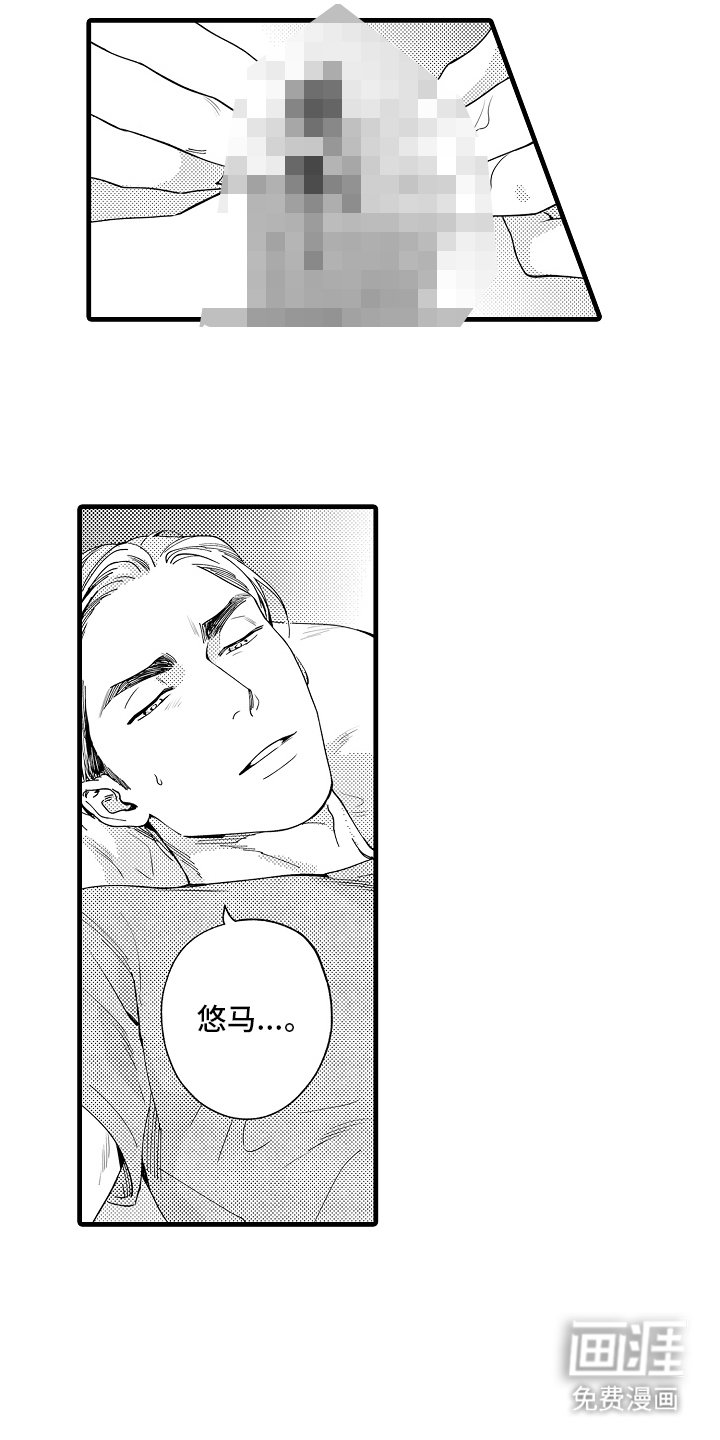 第13章：主导