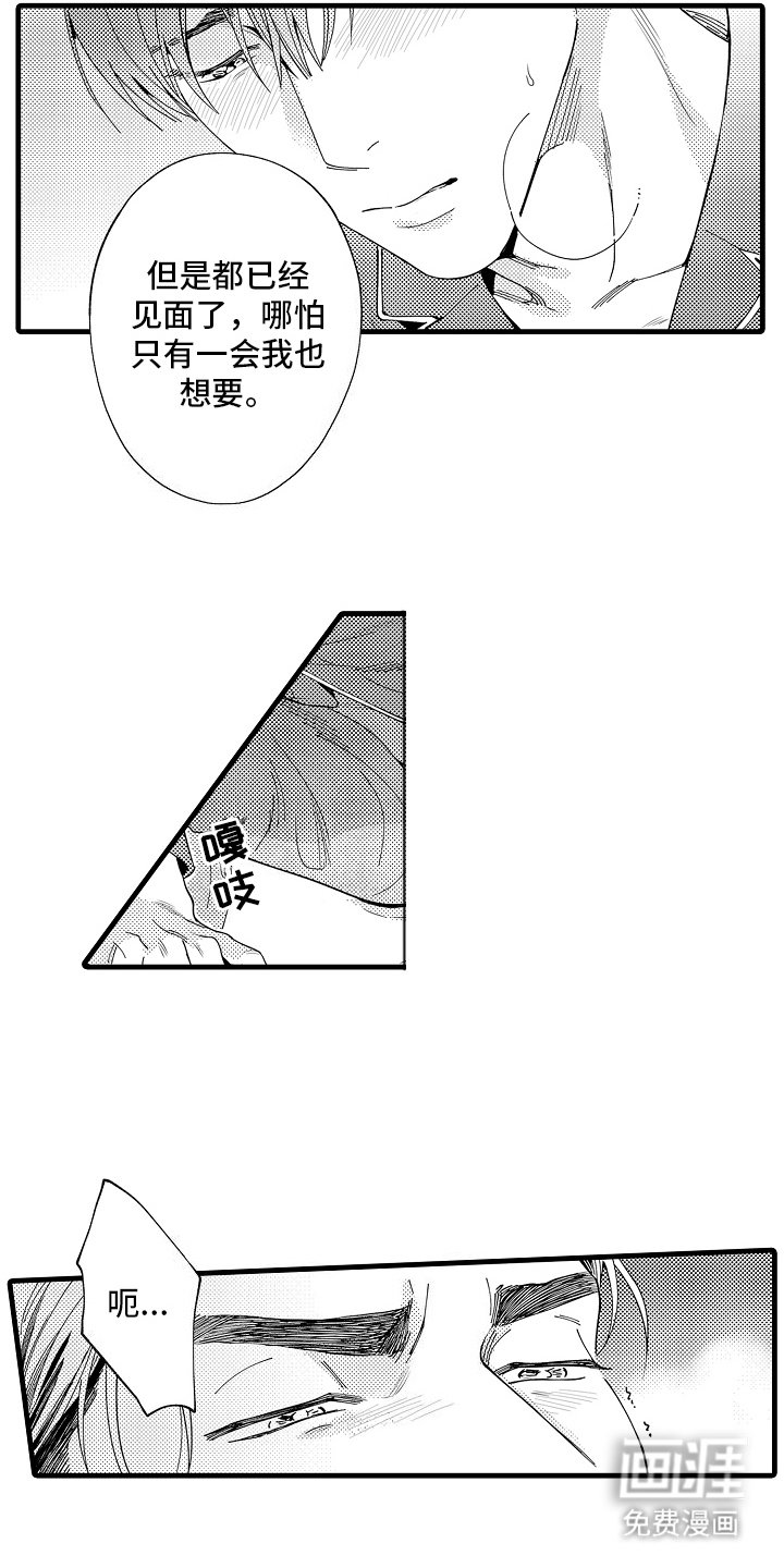 第13章：主导