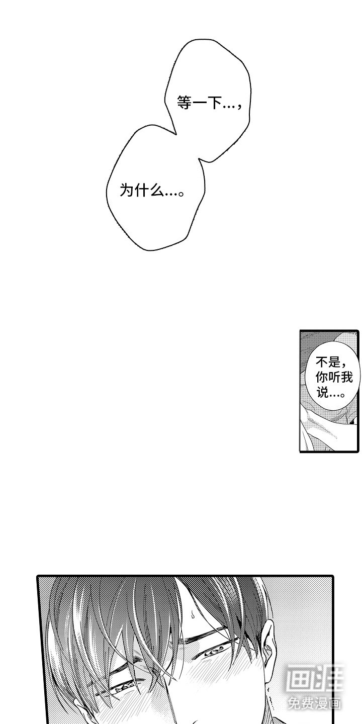 第13章：主导