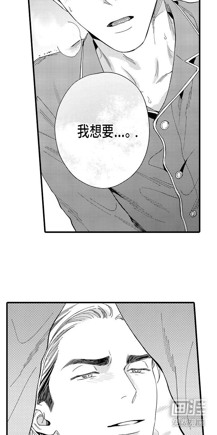 第13章：主导