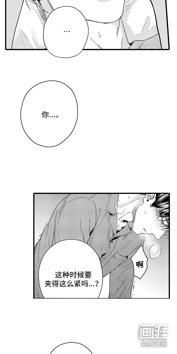 第13章：主导