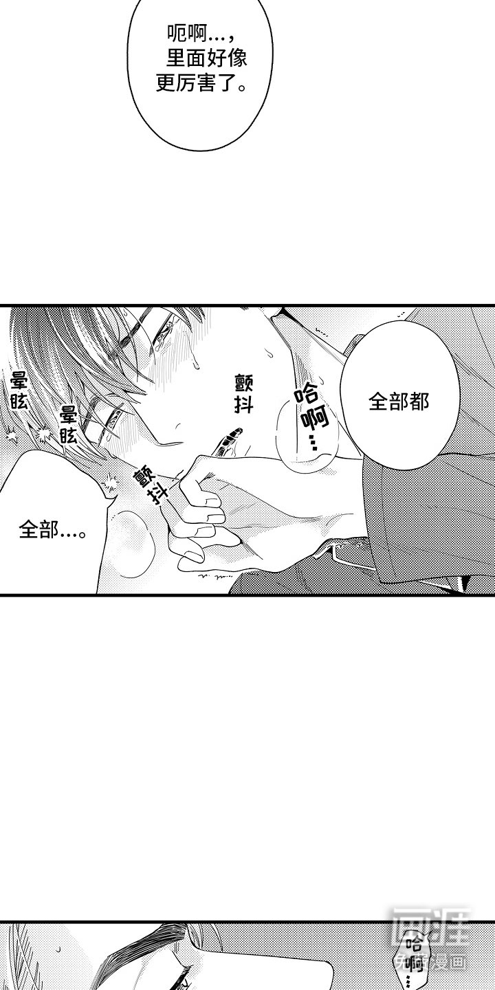 第13章：主导