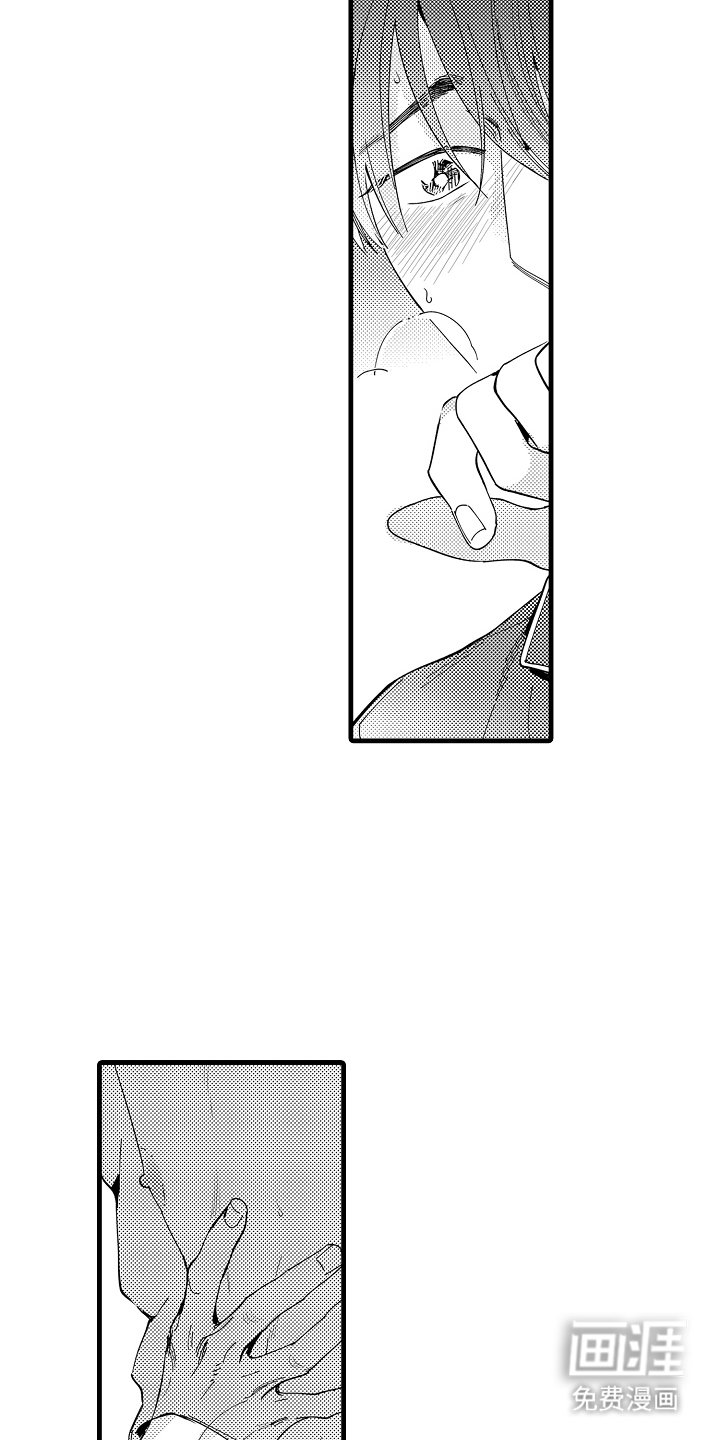 第13章：主导