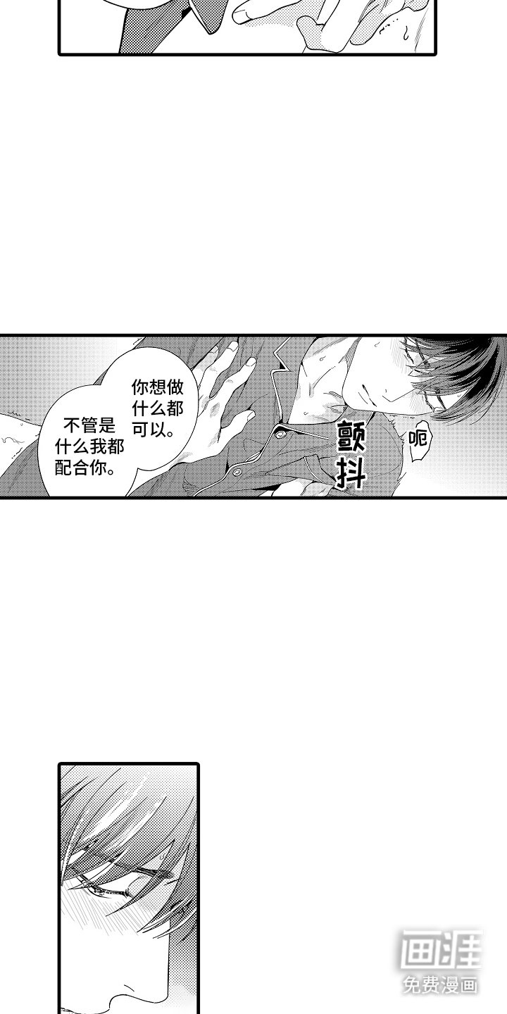 第13章：主导