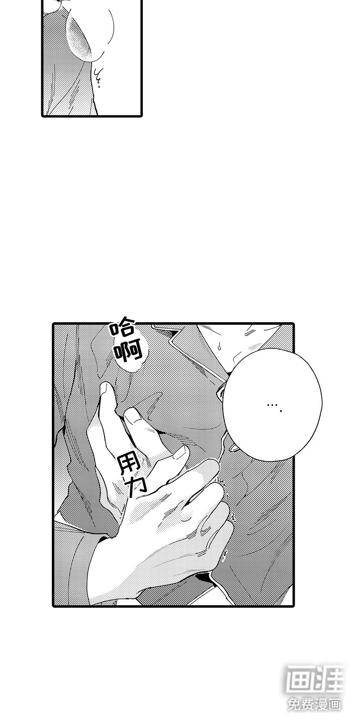 第13章：主导