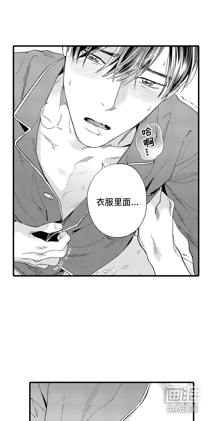 第13章：主导