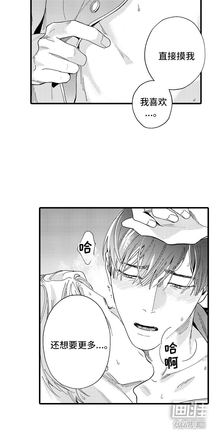 第13章：主导