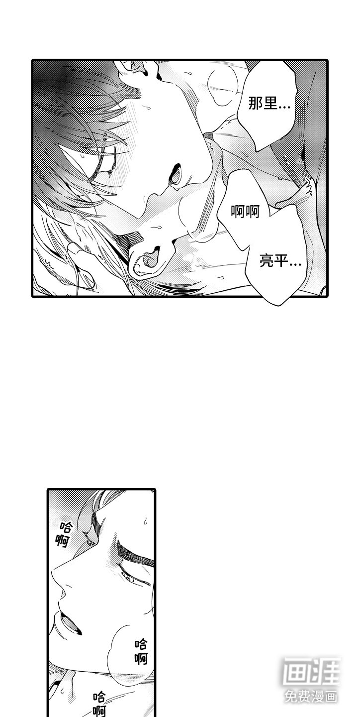 第13章：主导