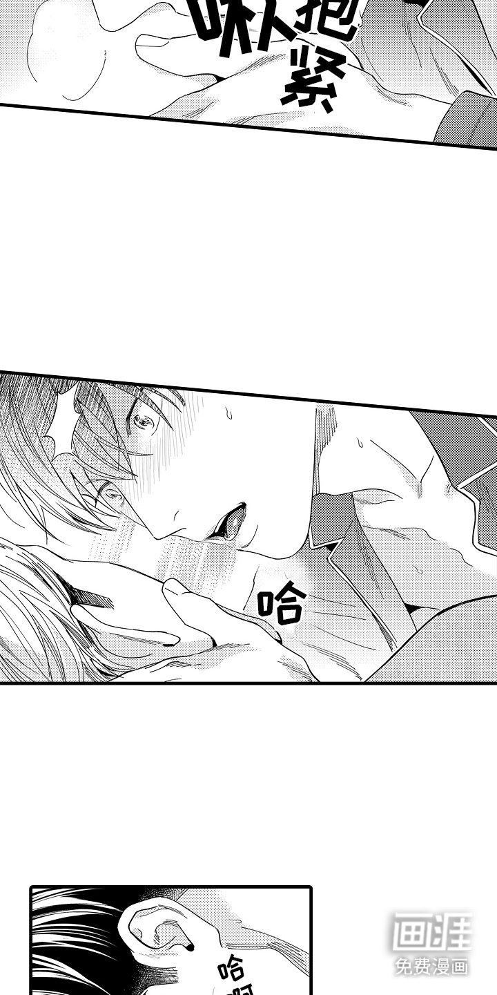 第13章：主导