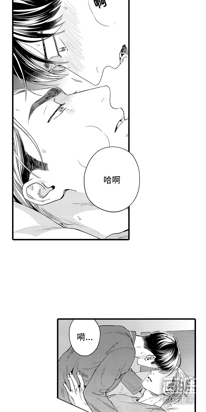 第13章：主导